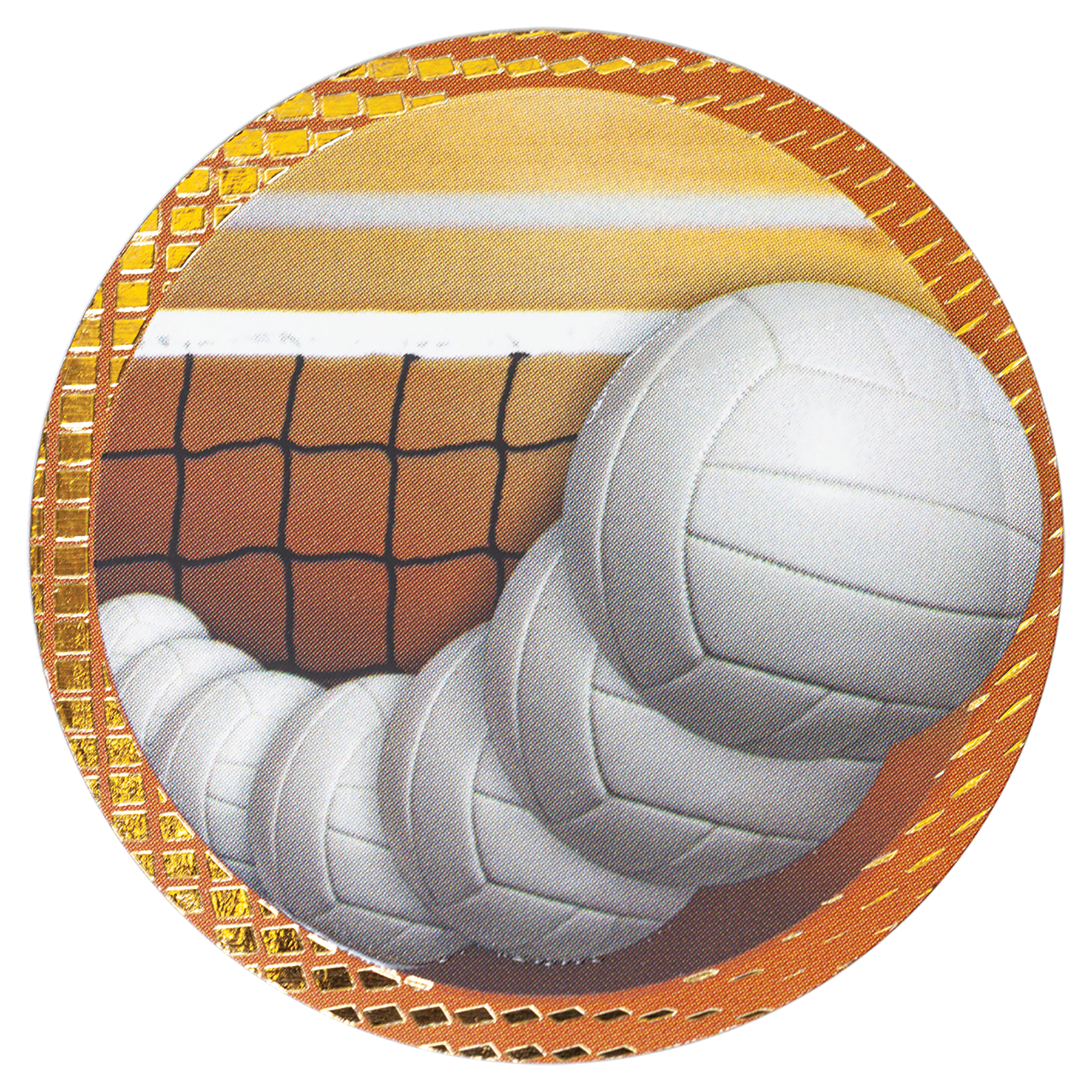 Volleyball Dazzle Insert