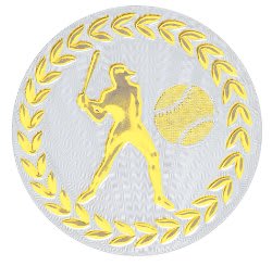 Metallic Baseball/Softball Mylar