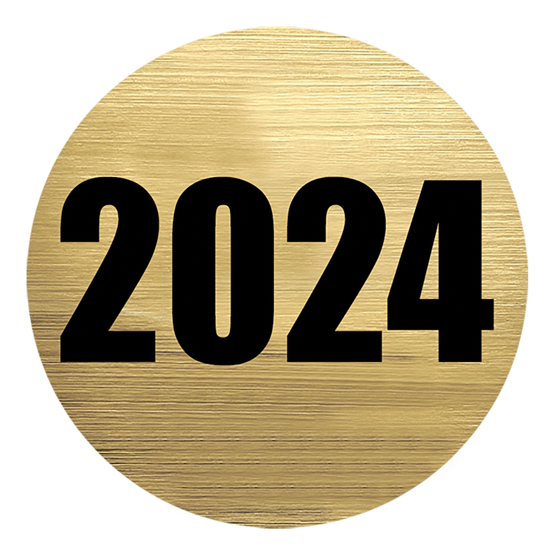 2024 Activity Insert