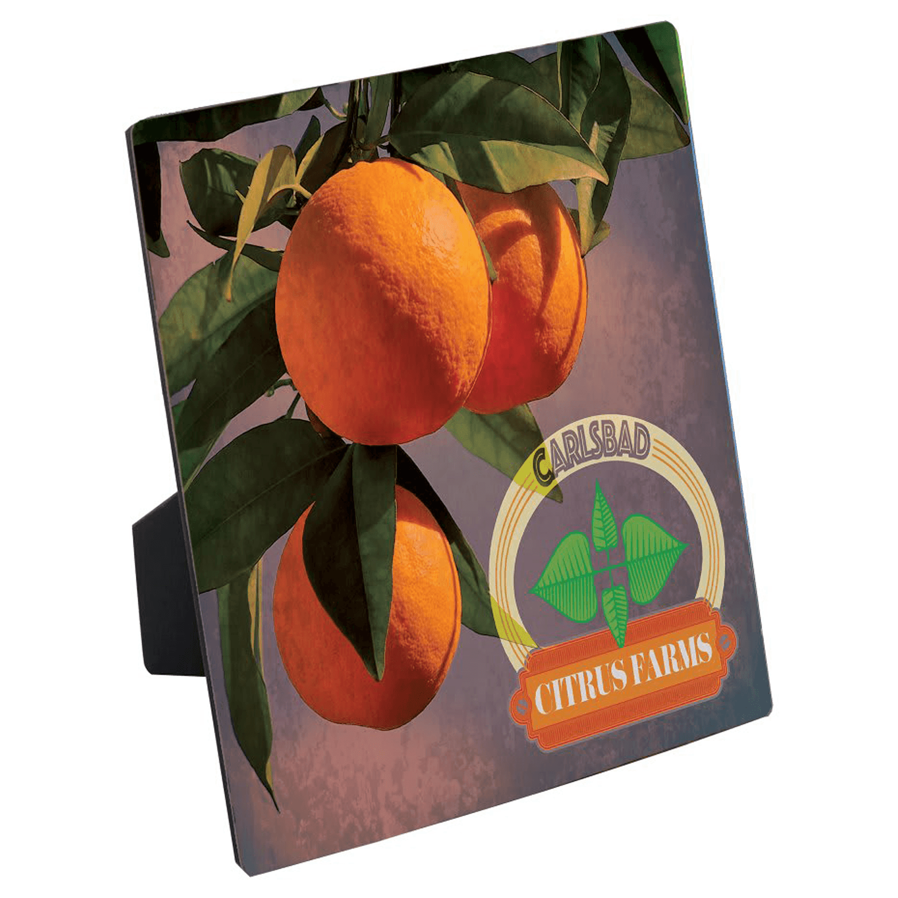 ChromaLuxe Flat Top Photo Panel with Easel
