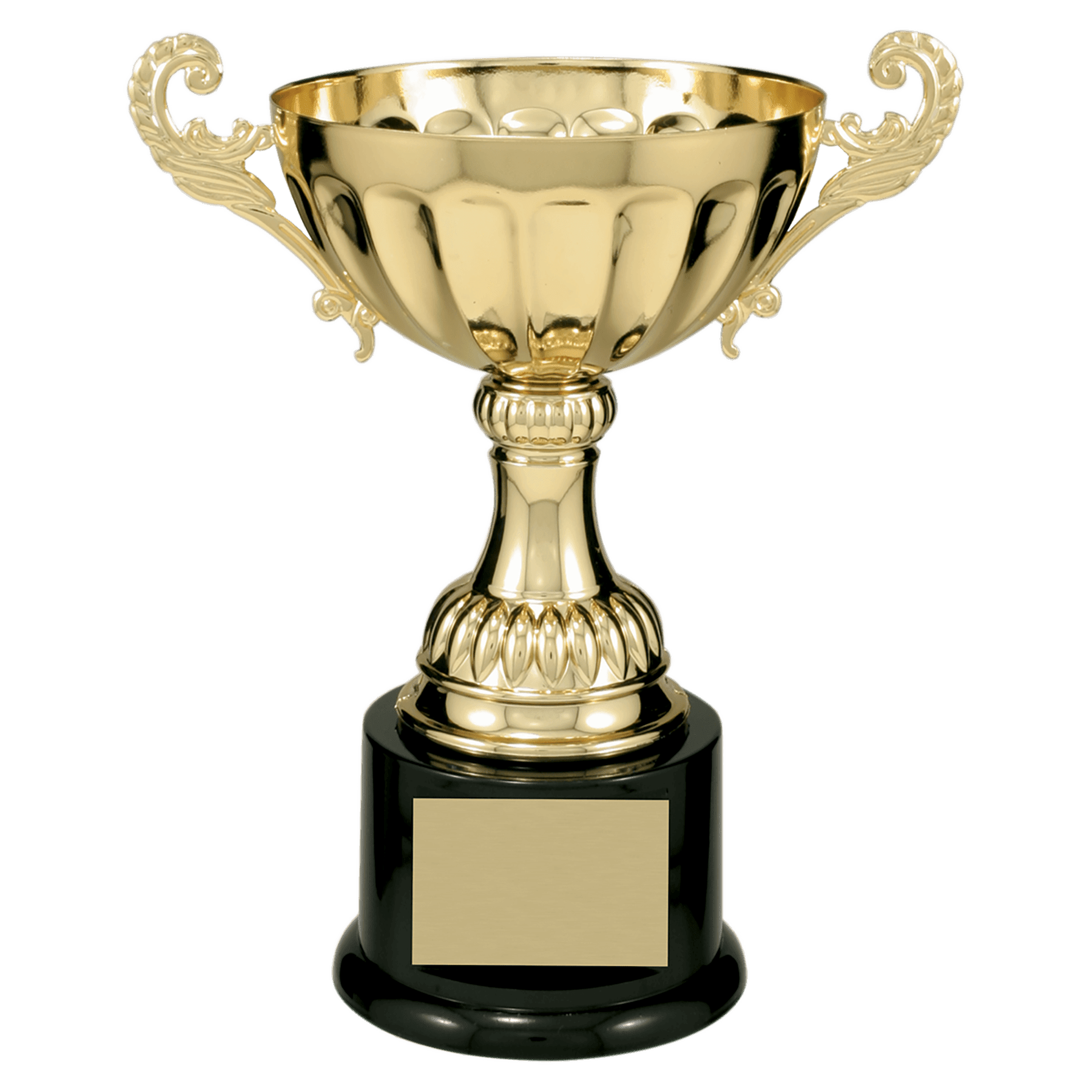 Completed Metal Cup Trophy on Plastic Base