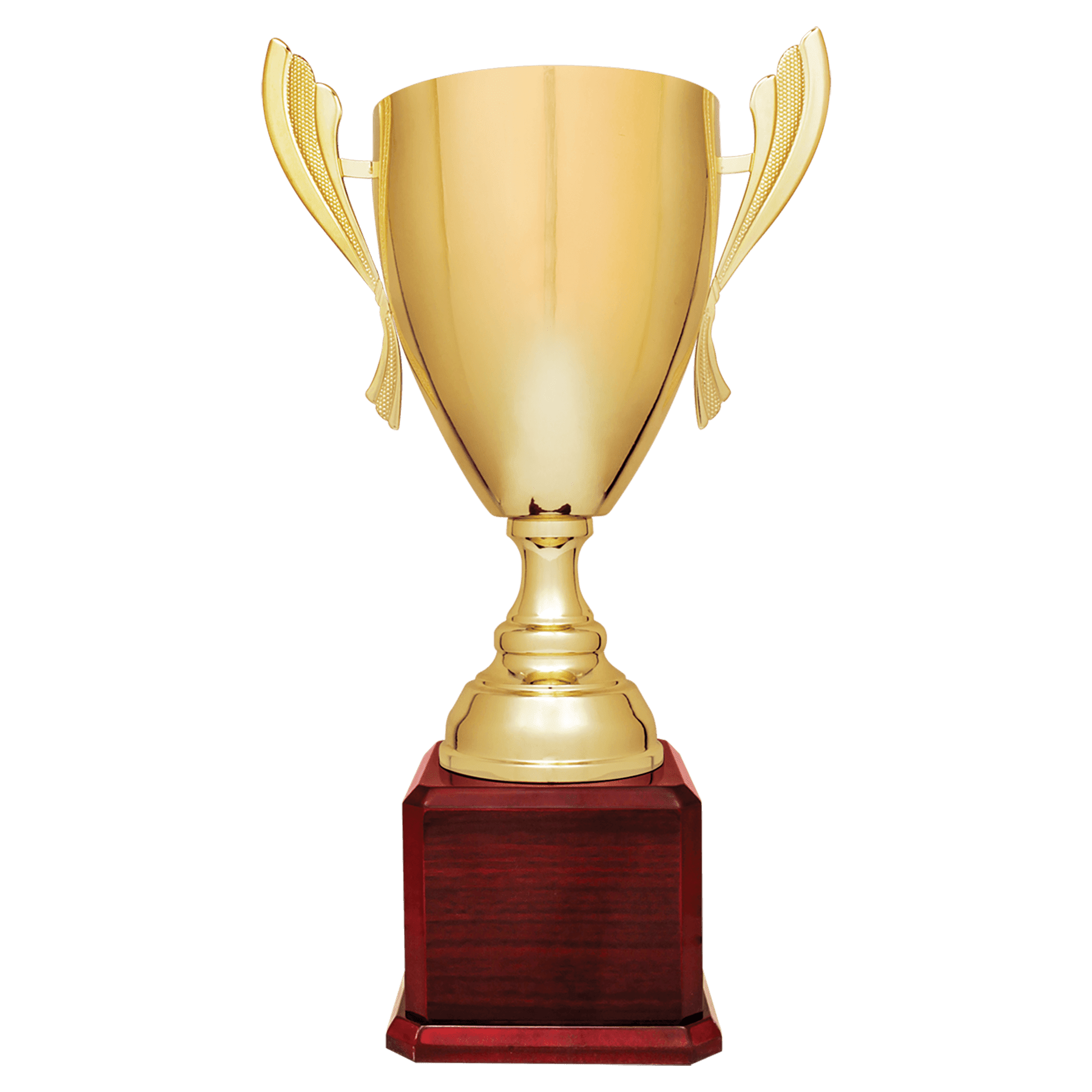 Completed Metal Cup Trophy on Royal Piano Finish Base