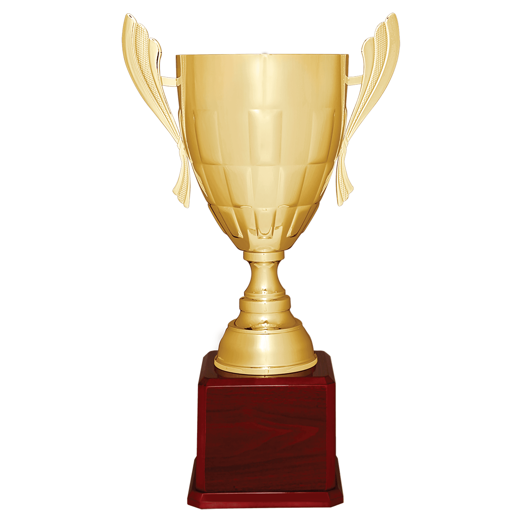 Completed Metal Cup Trophy on Royal Piano Finish Base