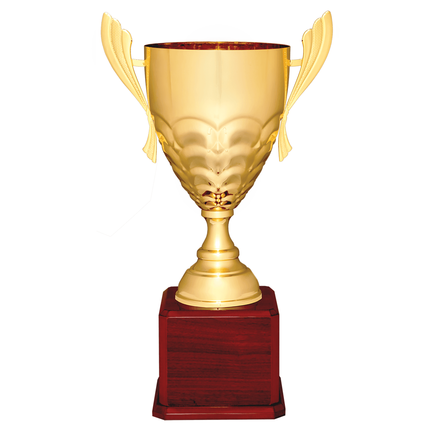 Completed Metal Cup Trophy with Royal Piano Finish Base
