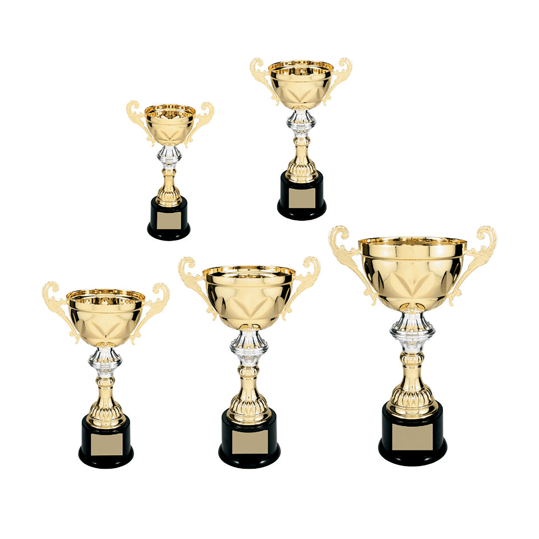 200 Series Gold Completed Metal Cup Sample Set