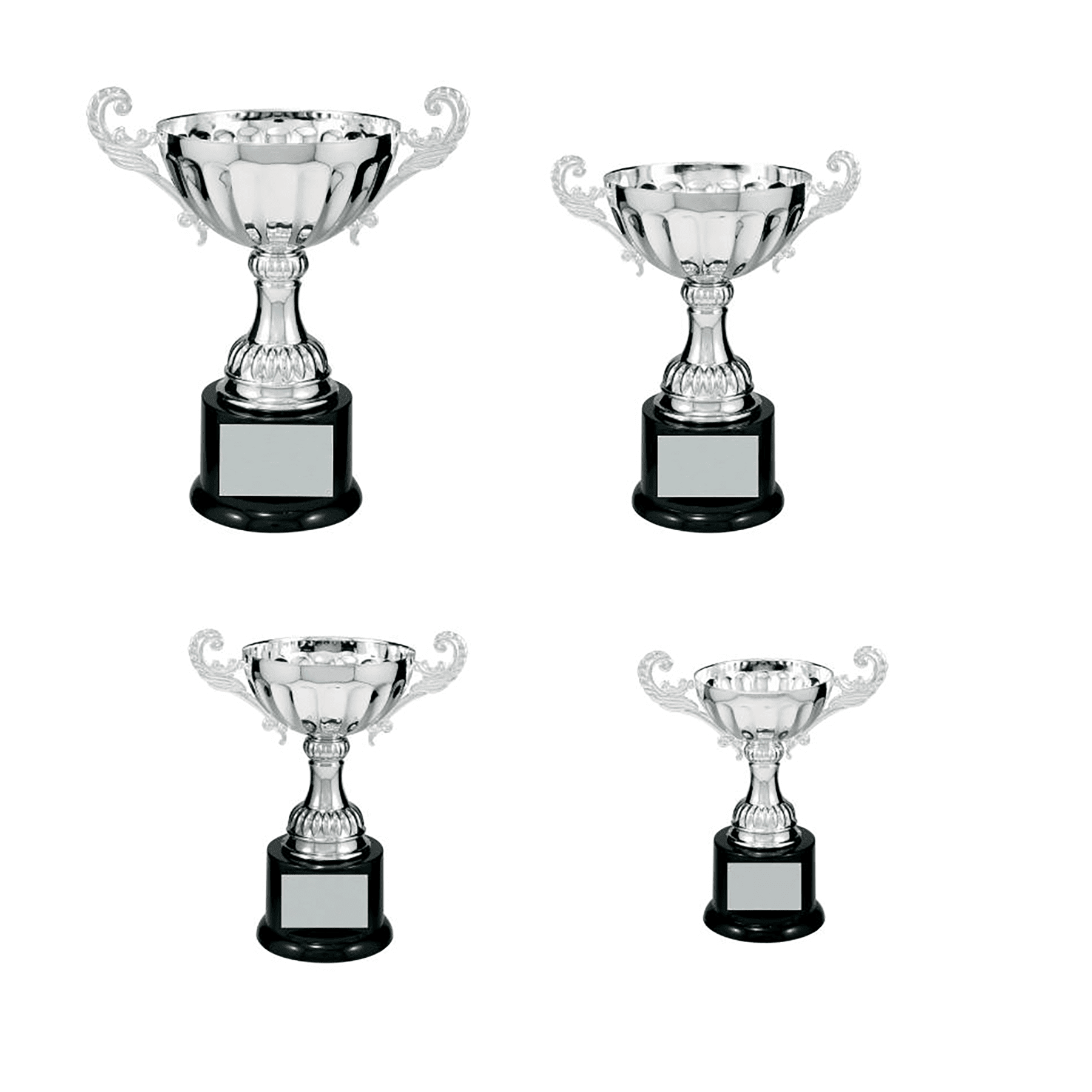 100 Series Silver Completed Metal Cup Sample Set