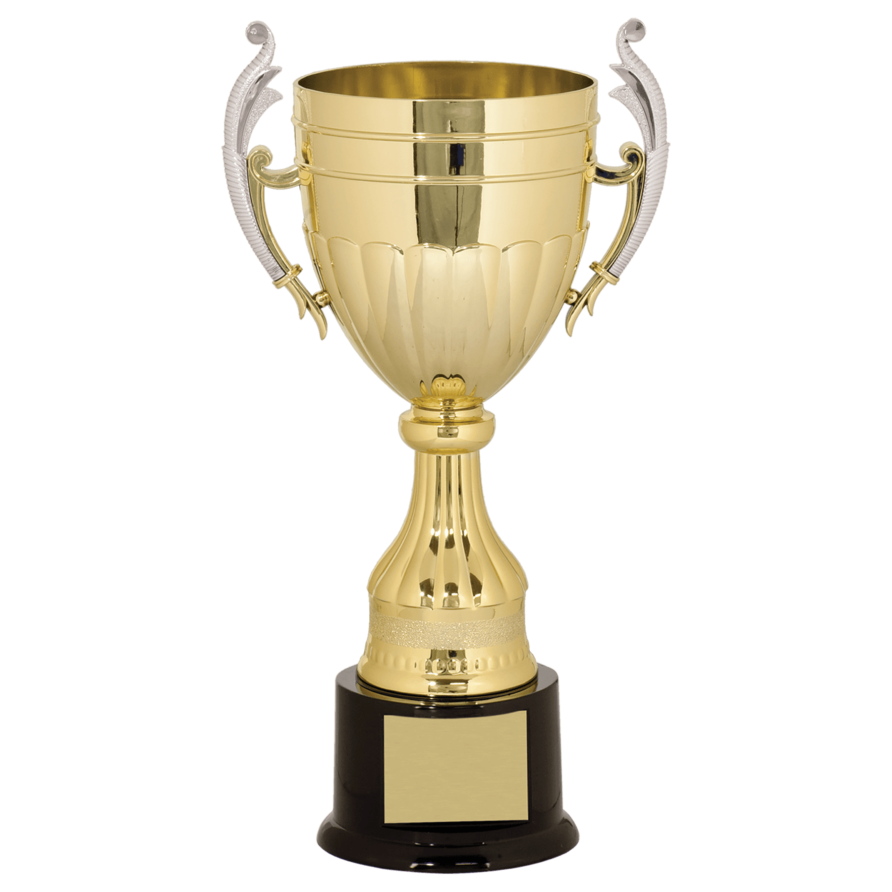 Plastic Completed Cup Trophy with Silver Handles