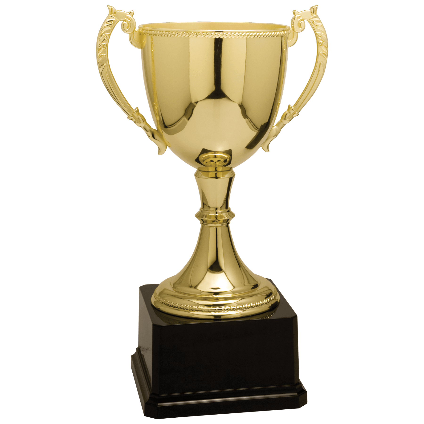 Completed Zinc Cup Trophy