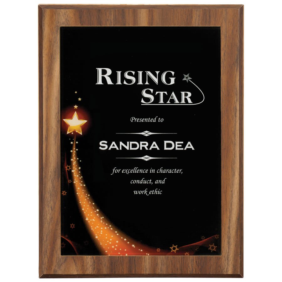 Star Galaxy Acrylic Plaque Plate