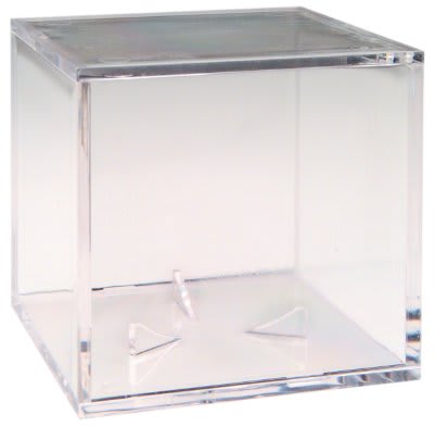 BallQube UV Baseball Display Case with Grandstand Holder